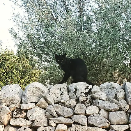 Flavia Farm stay Casa Serrafiori