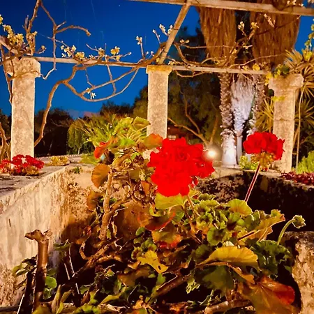 Flavia Farm stay Casa Serrafiori